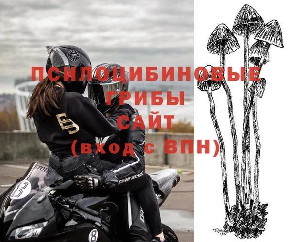 прущие крисы Алексеевка