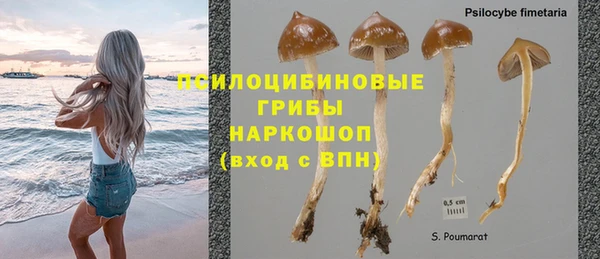 хмурый Абинск